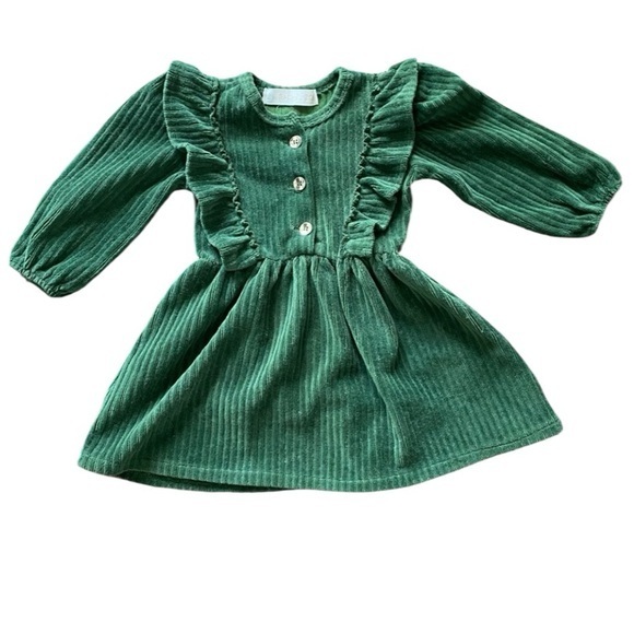 Rachel Zoe Other - RACHEL ZOE BABY DRESS 6-9 MONTHS GREEN VELOUR